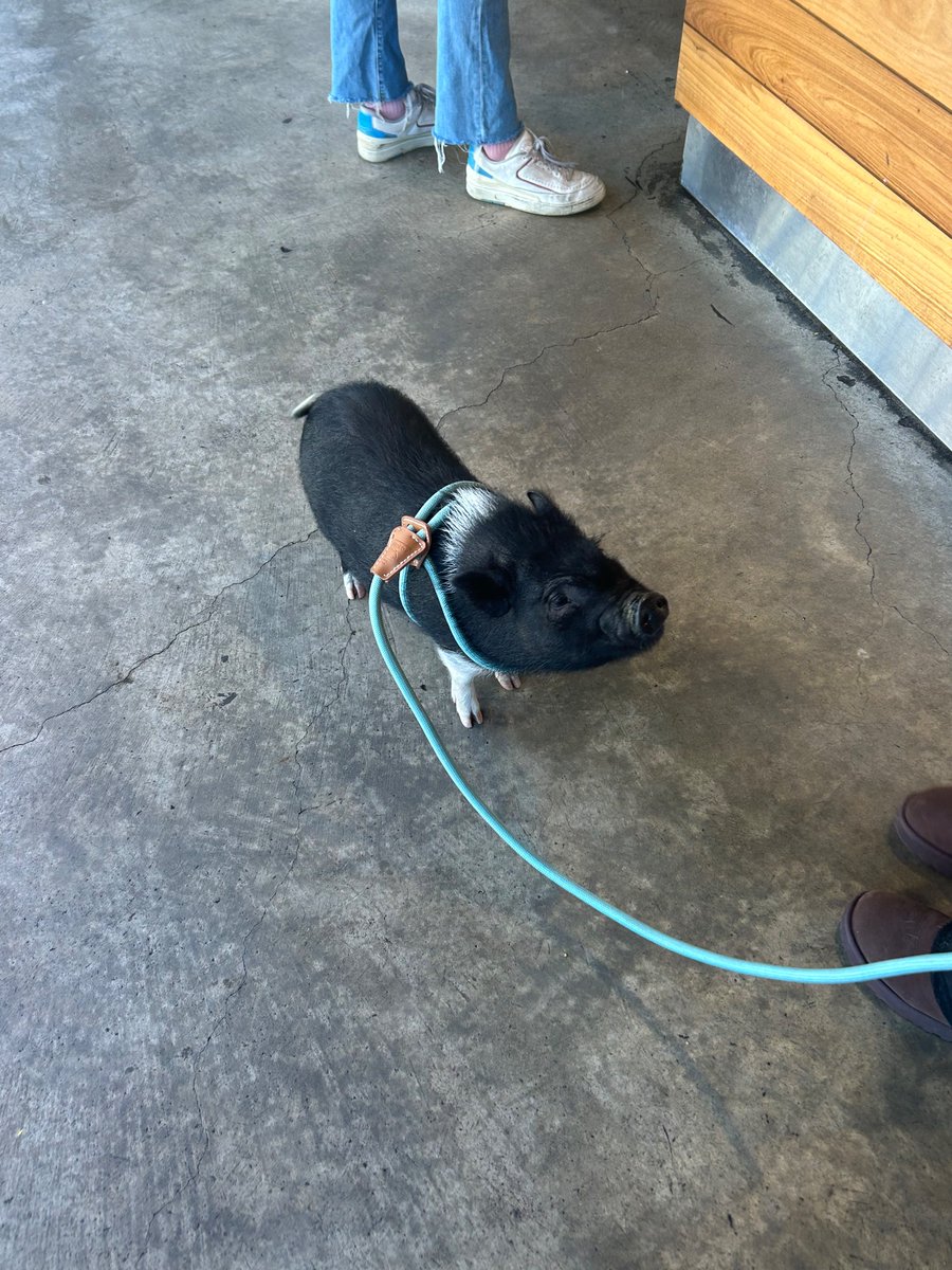 Jocelyn Silver tweet media