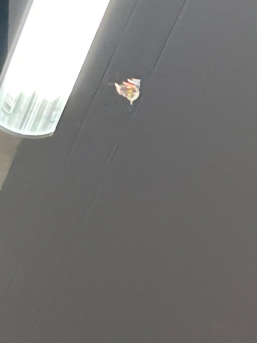 InclusionBPPS's tweet photo. Mr. Moth arrived @BrunswickParkPS a little early for, ‘Dress as an Animal Day’, but were were happy to see him! Don’t forget to get your costumes ready for the big day on Friday! @WWF https://t.co/E4LkHOhyoE
