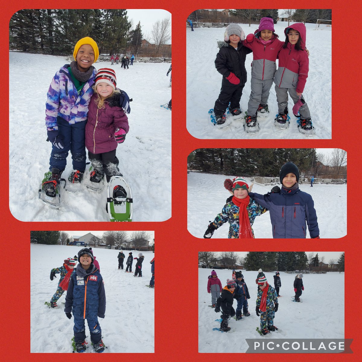 Angelo Bruno ๐๐จ๐ฆ๐ฎ๐นโฝ๏ธ๐๏ธโโ๏ธ๐๐ฃ (@angelo_bruno2) on Twitter photo Snowshoeing in the <a href="/OttCatholicSB/">Ottawa Catholic School Board</a> with my grade 3 Tweetโค๏ธs! #MovementIsMedicine Snowshoeing in the <a href="/OttCatholicSB/">Ottawa Catholic School Board</a> with my grade 3 Tweetโค๏ธs! #MovementIsMedicine