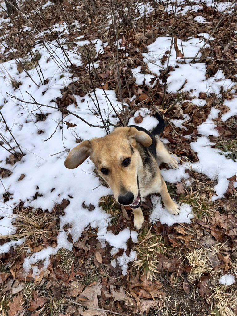 RejoicingReb M (@diligentbecca) on Twitter photo 