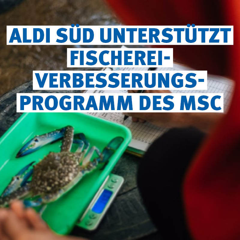 📣 Neuer Impuls für nachhaltige #Fischerei: Aldi Süd unterstützt das MSC Fischerei-Verbesserungsprogramm 👏🐟

Der MSC erweitert seinen Ansatz, um auch die Fischereien zu erreichen, die die Anforderungen des MSC-Umweltstandards noch nicht erfüllen können und Märkte mit geringerer