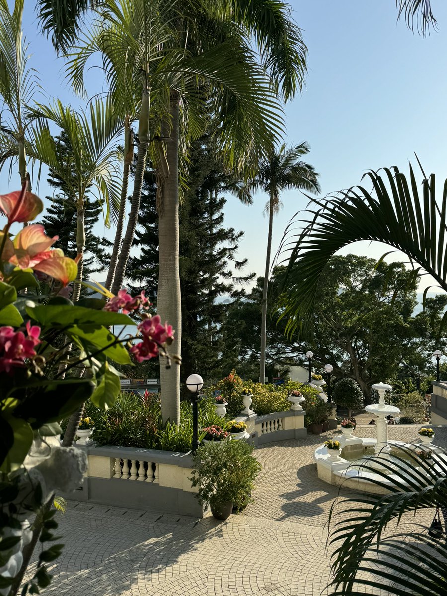 小狗y y tweet media