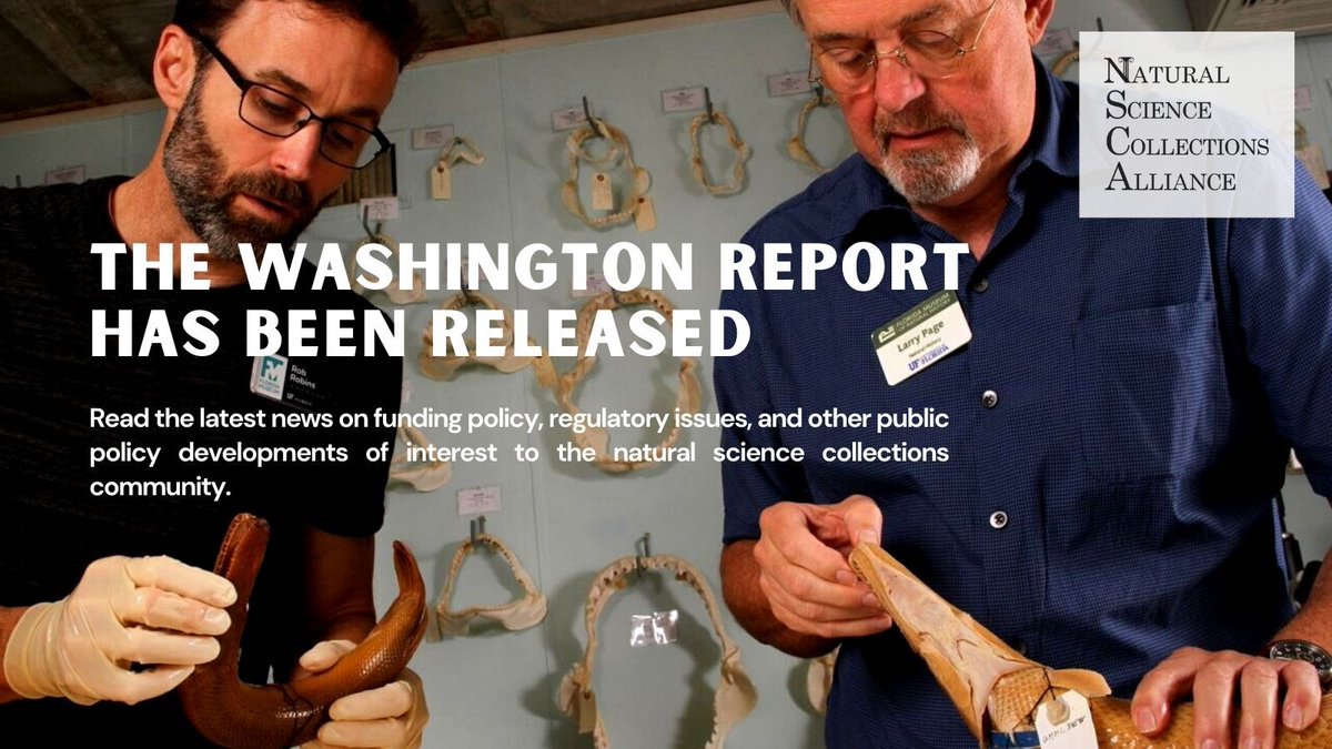 The January 2025 Washington Report is out! Congress begins new session; Trump names his OSTP director;  White House issues agency guidelines to address harassment; and other news. mailchi.mp/c2b871837200/d…