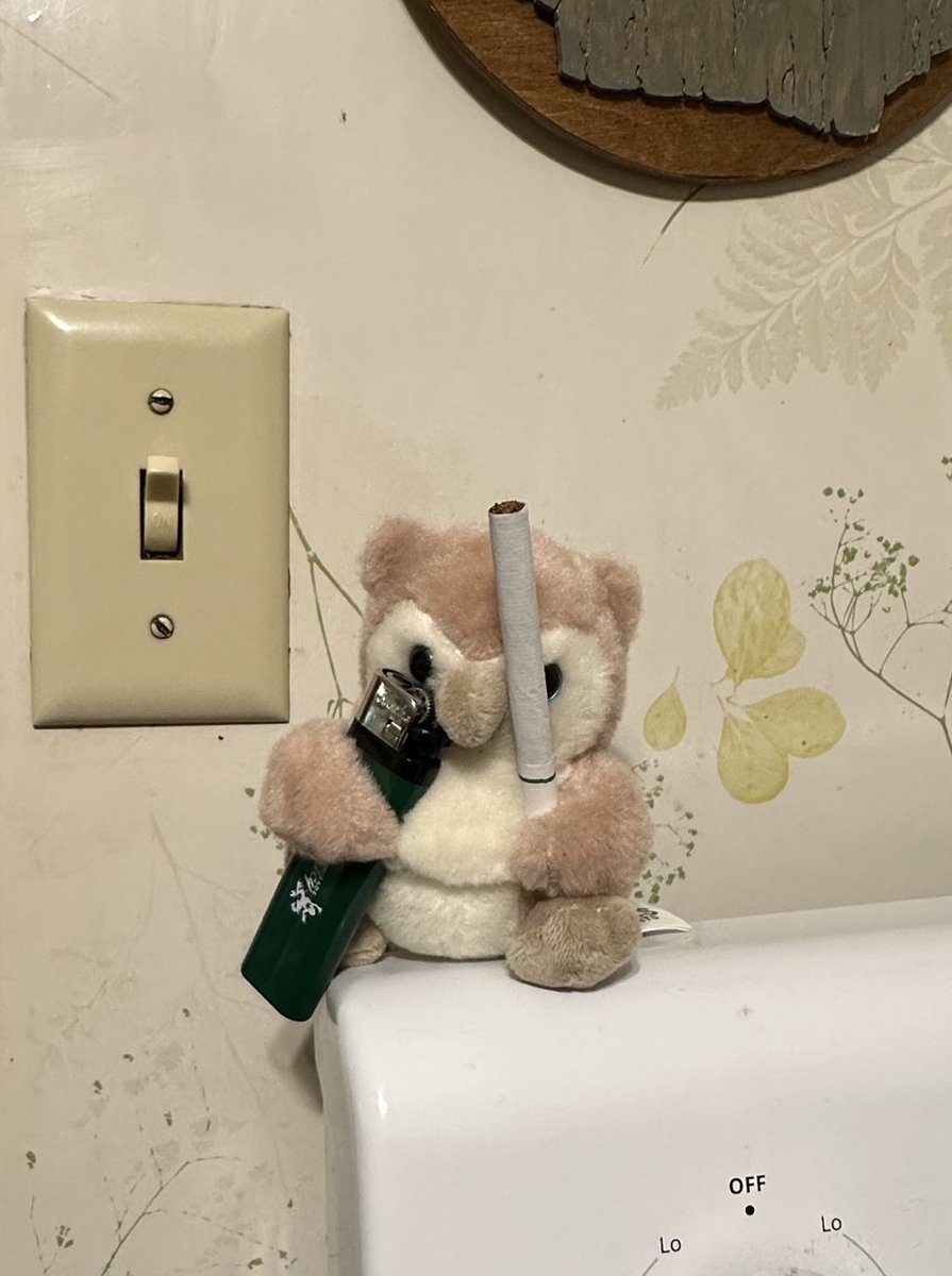 hey guys an evil witch turned me into a tiny stuffed animal does anyone wanna go smoke?