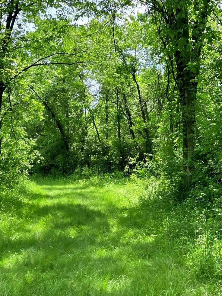 artindetails's tweet photo. peaceful nature https://t.co/jFzDmbocFT