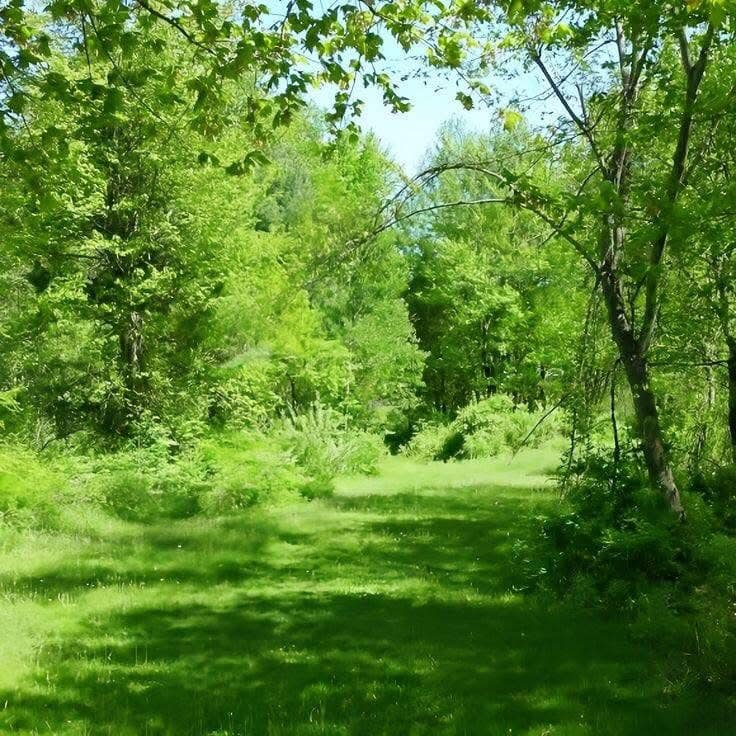 artindetails's tweet photo. peaceful nature https://t.co/jFzDmbocFT