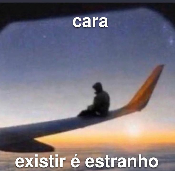 Terror do Cotidiano (@terrorcotidiano) on Twitter photo 