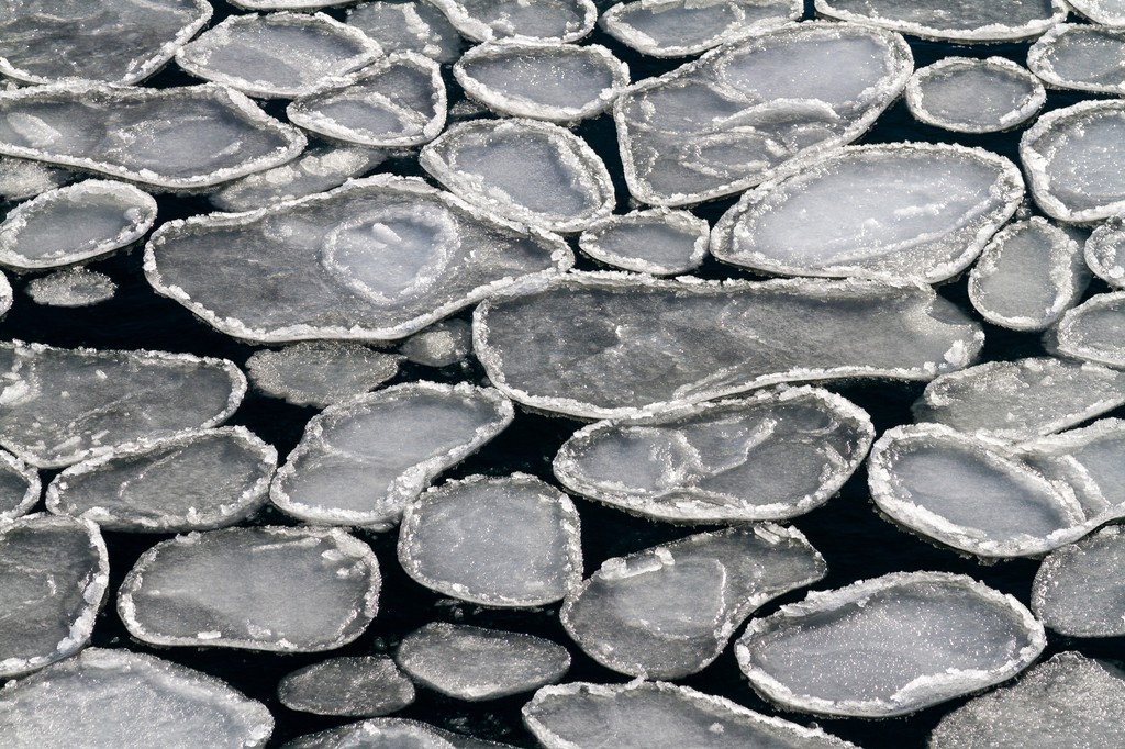 Antarctic and Southern Ocean Coalition tweet media