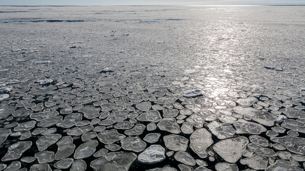 Antarctic and Southern Ocean Coalition tweet media