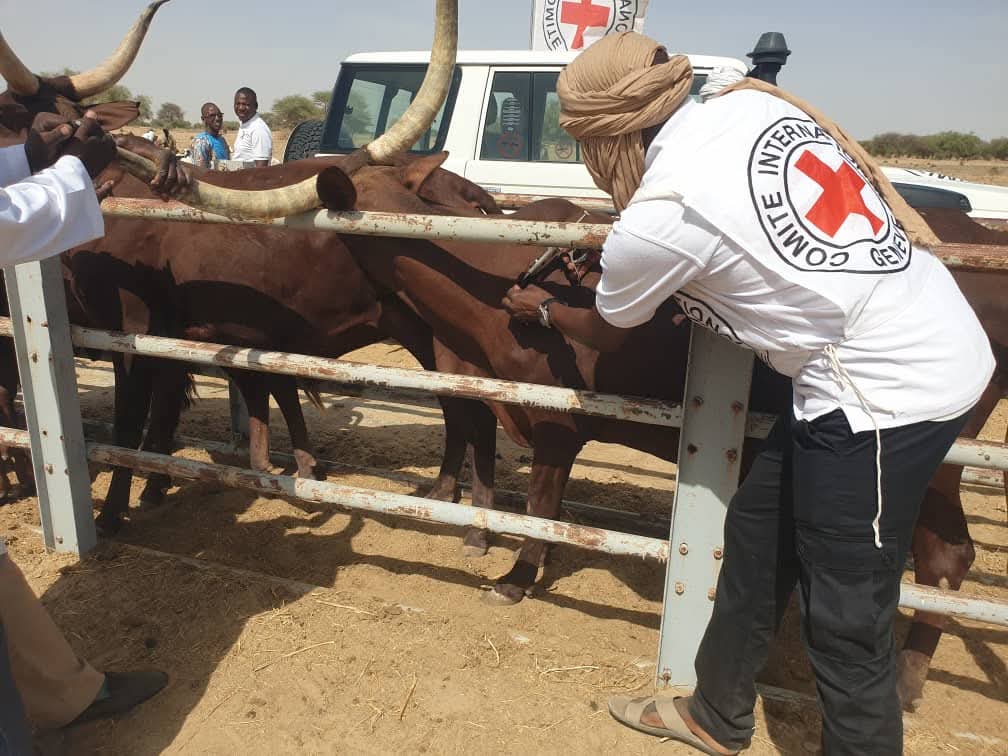 Mahamadou Hama (@fataouhama) on Twitter photo #Tillaberi
Démarrage ce jour de la campagne annuelle de vaccination/déparasitage du cheptel, à Ayérou, près de la frontière avec le Mali
En 2024, au Niger <a href="/CICR_Afrique/">CICR Afrique</a> a soutenu la vaccination et/ou déparasitage de +3 mions têtes d'animaux en collaboration avec les autorités. #Tillaberi
Démarrage ce jour de la campagne annuelle de vaccination/déparasitage du cheptel, à Ayérou, près de la frontière avec le Mali
En 2024, au Niger <a href="/CICR_Afrique/">CICR Afrique</a> a soutenu la vaccination et/ou déparasitage de +3 mions têtes d'animaux en collaboration avec les autorités.