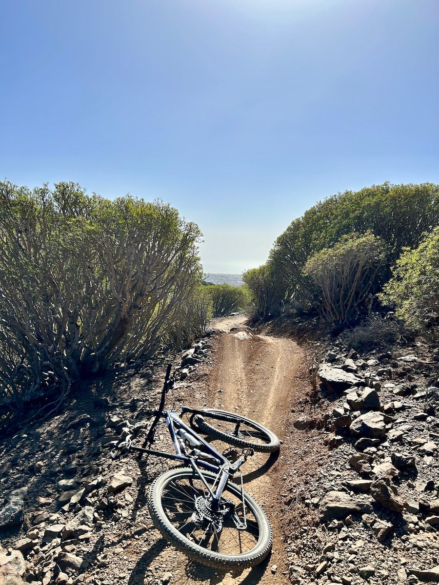 PyreneesWorship's tweet photo. #Twitcyclos Canarias 😅 https://t.co/DaSHNeCH33