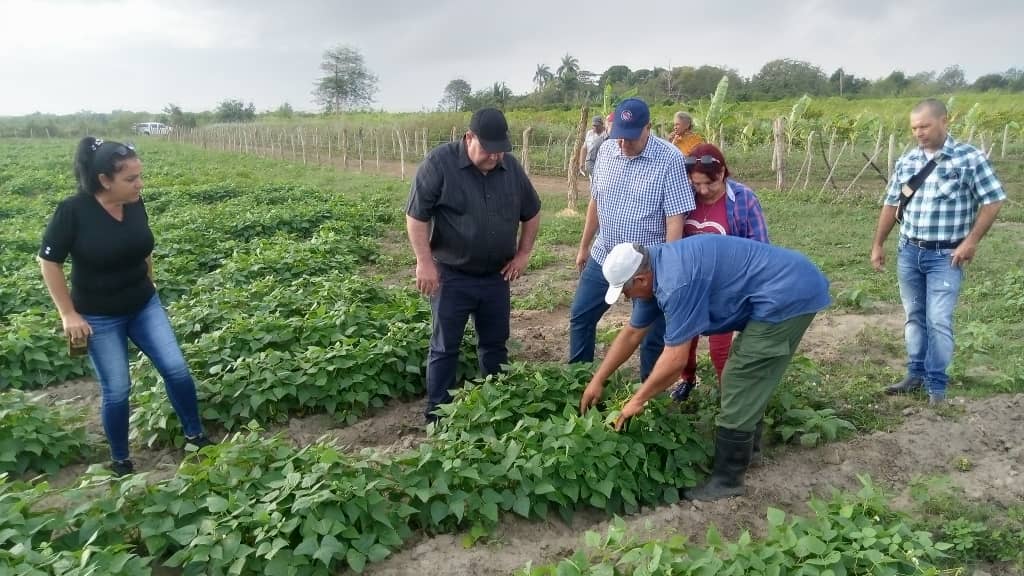 El Presidente  de la ANAP Nacional Félix Duarte Ortega continúa visita a campesinos del territorio #IslaDeLaJuventud #SentirPinero #SíSePuede