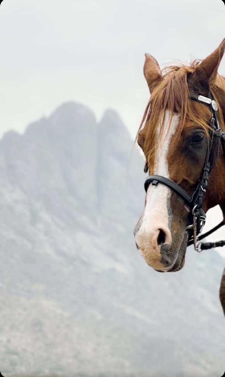 رسمة صوره لاحد جبال #محافظة_أضم #جبل_حبينة من تصوير حدث حليه شكراً سمحو لي ارسمها 🙏🏻