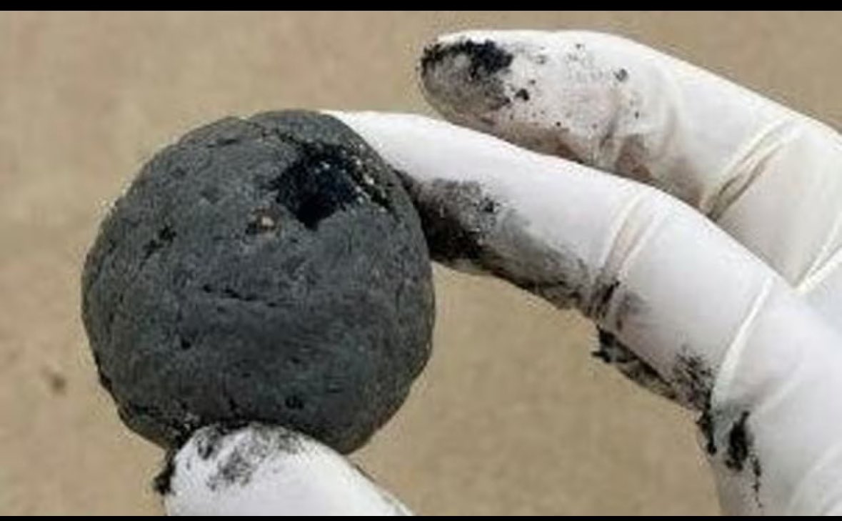 Truthseeker tweet media