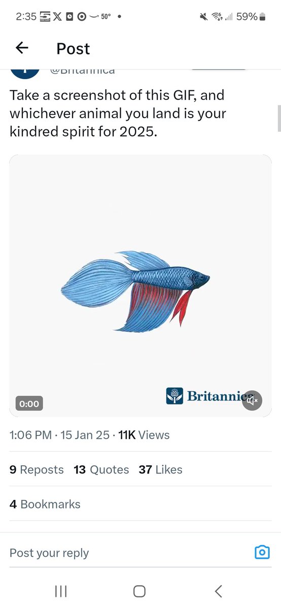 b3bailey4's tweet photo. @Britannica Beta Fish for me. I'll take it! 😁
"Positive energy and good fortune
Betta fish are known for their vibrant colors and fighting spirit, and are believed to bring good fortune and positive energy." https://t.co/ugb5sC4vNN