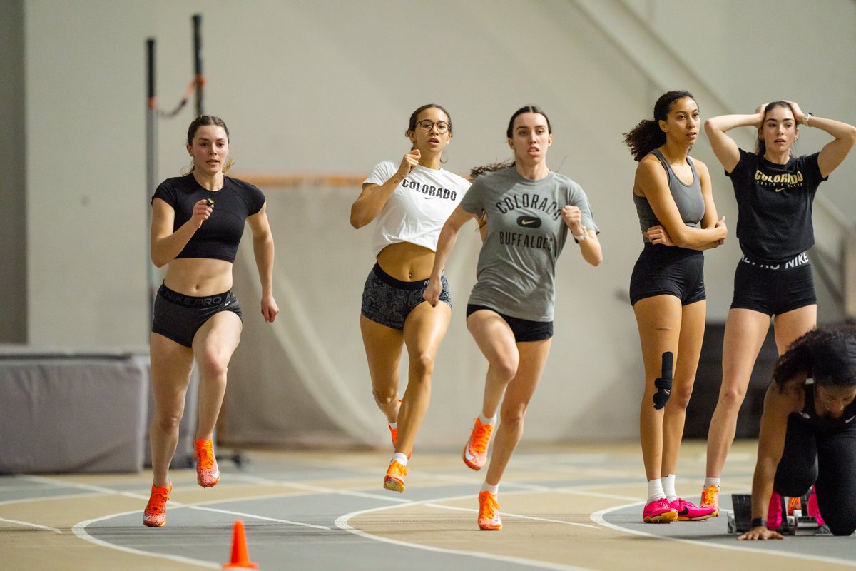 burke400h's tweet photo. We put in some work yesterday 🦬 https://t.co/Mu0nCCIXZP