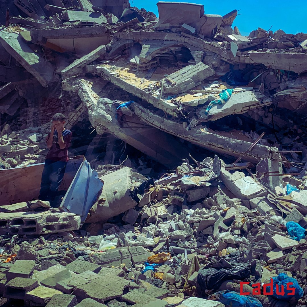 Ceasefire in Gaza!
We hope this will be a milestone for the beginning of serious efforts toward lasting peace and meaningful improvement in the humanitarian situation in Gaza.

#BedingungslosHumanitärJETZT #UnconditionallyHumanitarianNOW #CADUS #Gaza #Ceasefire