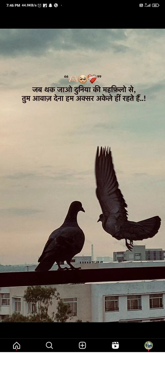 छोटा क़ाम मिला हैं कर लूँगा पैसा इकट्ठा करके मैं घर लूँगा और जिस दिन ये बेटा अपने पैरो में खड़ा होगा जिस दिन ये बेटा अपने पैरो में खड़ा होगा उस दिन माँ-बाप का कमरा सबसे बड़ा होगा गार्डन में माली कीचेन में कुक रखूँगा छोटा काम मिला है कर लूँगा पैसा इकट्ठा करके मैं घर लूँगा meri maa