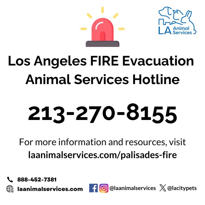 If you have lost your pets due to the wildfires and are needing assistance to find them, please call the Los Angeles FIRE Evacuation Animal Services Hotline at 213-270-8155 and leave the requested information about your pet and your contact number. laanimalservices.com/palisades-fire
