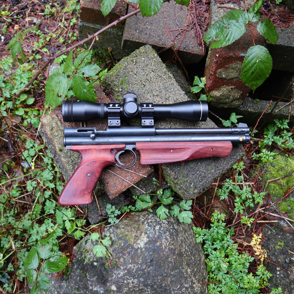 bcballistics's tweet photo. Might have to get the Crosman 1322 out later today!

#crosman1322 #bcballistics #airgun #airpistol https://t.co/BgFPf94z65