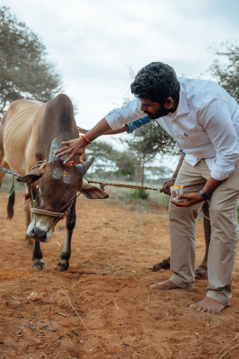 annamalai_k's tweet photo. உழவுத் தொழிலுக்கு உதவும் உயிர்களை வணங்குவோம���! https://t.co/Cq3o0O31fe