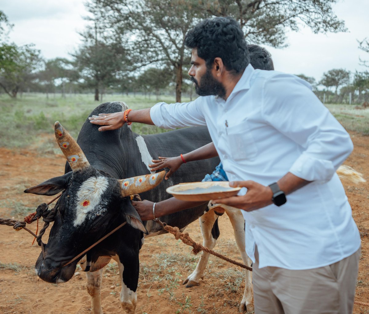 annamalai_k's tweet photo. உழவுத் தொழிலுக்கு உதவும் உயிர்களை வணங்குவோம���! https://t.co/Cq3o0O31fe