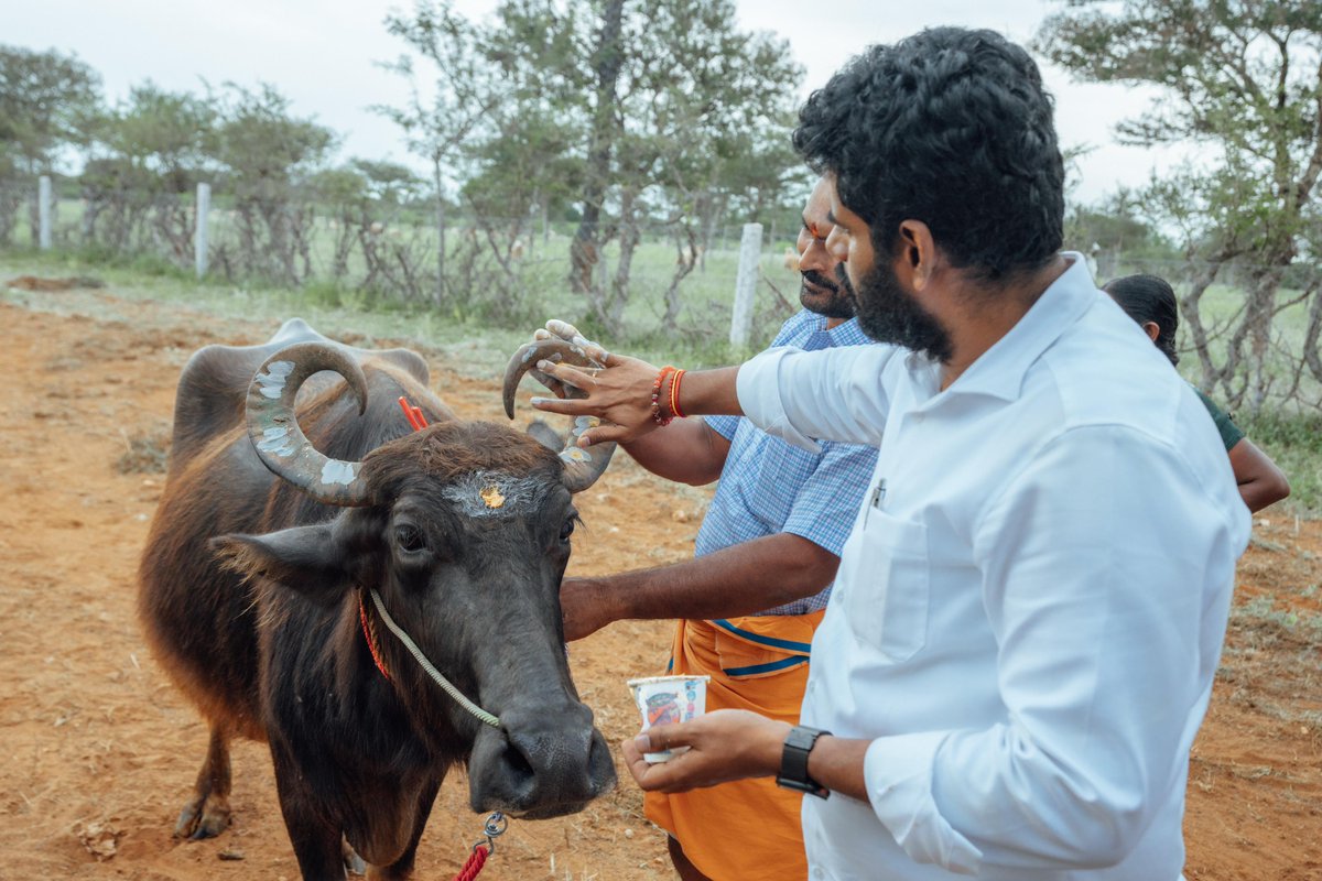 annamalai_k's tweet photo. உழவுத் தொழிலுக்கு உதவும் உயிர்களை வணங்குவோம���! https://t.co/Cq3o0O31fe