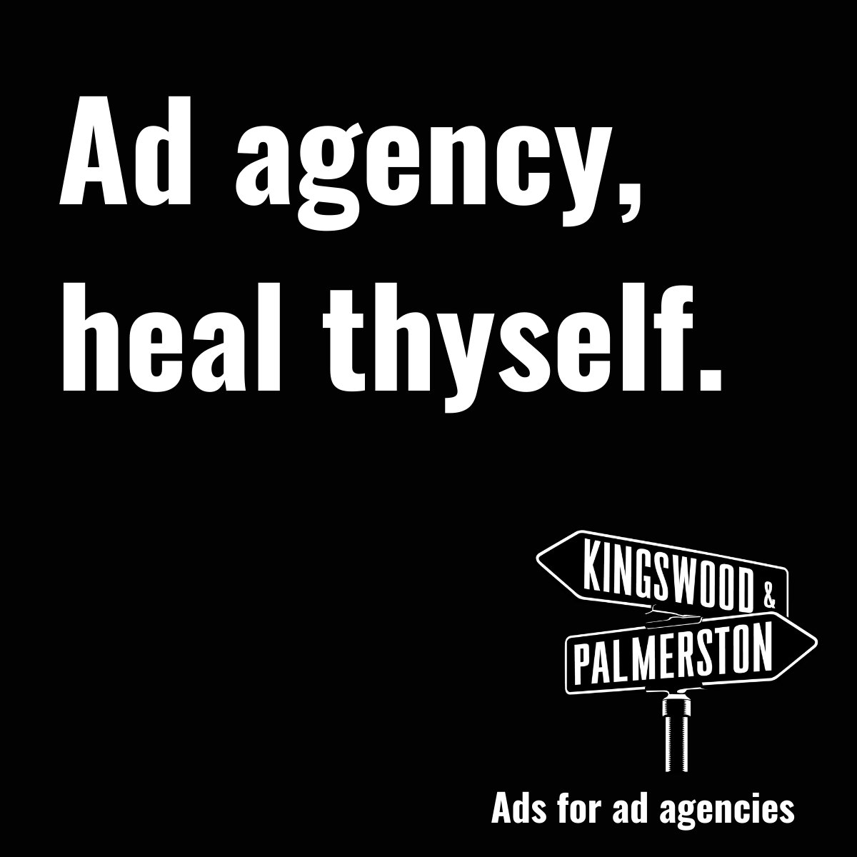 elroythecat tweet media