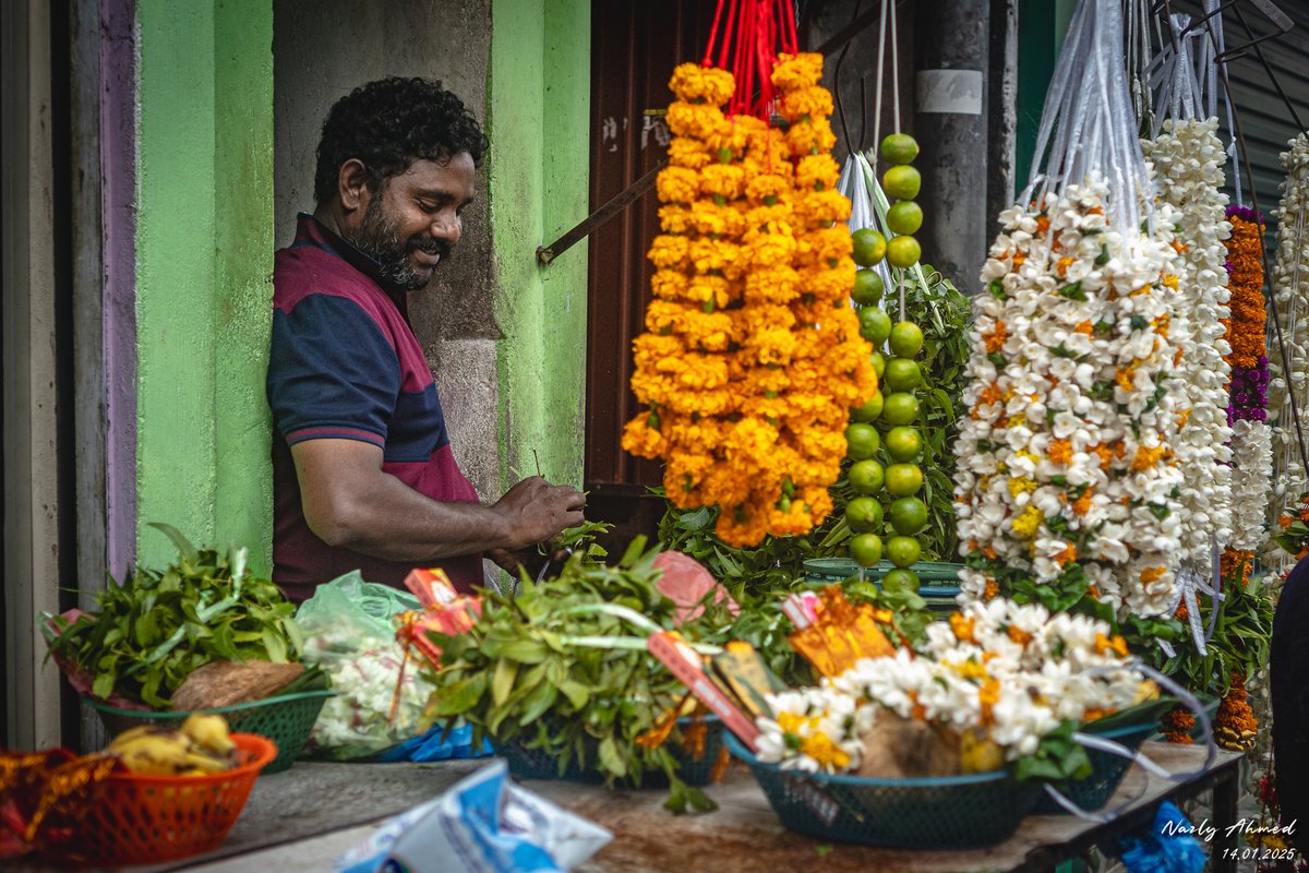 nazly's tweet photo. Amidst the urban chaos, Thai Pongal traditions weave a vibrant tapestry of colour, fragrance, and festivity across Colombo's streets. 🌾🧉

📍 Sea Street, Pettah. #lka 🇱🇰 https://t.co/kGXqEClUHa