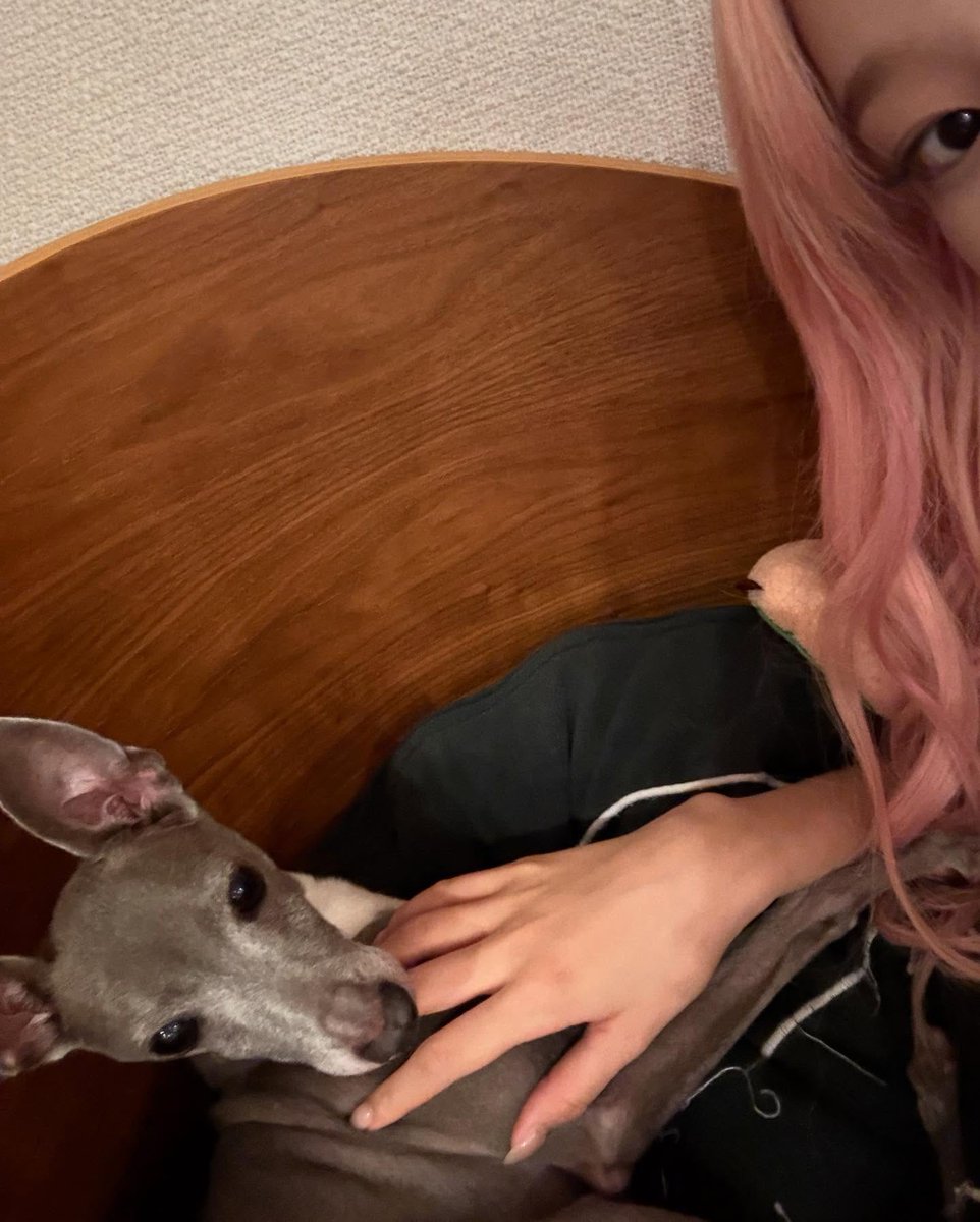 nothing can beat the warmth whenever you’re spending a moment with your loved ones, so here i am sharing some irreplaceable merriment and affection along with 𝑪ooper! cuddle time will always be the bestest one of all after all, and no one can change my mind about it. ⭒ 𔓘 𝆬