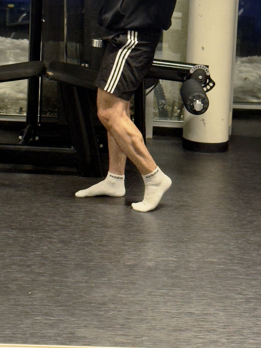 Calfs are coming along nicely I’d say