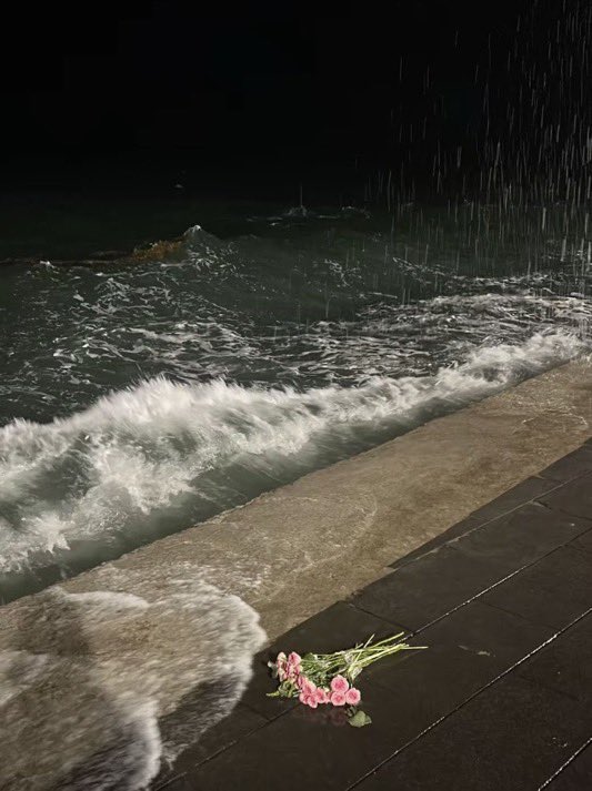 ❀ (@i3moment) on Twitter photo 