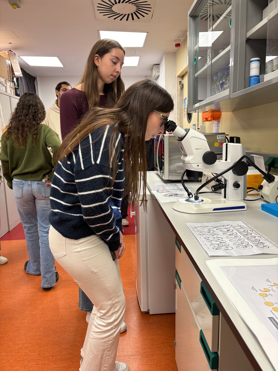 MIF Barcelona (@barcelonamif) on Twitter photo Like previous years, we hosted students from the class of Biomedical sciences <a href="/UniBarcelona/">Universitat de Barcelona</a> for a tour of our facility. Thank you <a href="/AbadiasNeus/">Neus Martínez-Abadías</a> for visiting us <a href="/EMBLBarcelona/">EMBL Barcelona</a> <a href="/the_prbb/">Biomedicina BCN</a>. Sharing a glimpse of the day here! Like previous years, we hosted students from the class of Biomedical sciences <a href="/UniBarcelona/">Universitat de Barcelona</a> for a tour of our facility. Thank you <a href="/AbadiasNeus/">Neus Martínez-Abadías</a> for visiting us <a href="/EMBLBarcelona/">EMBL Barcelona</a> <a href="/the_prbb/">Biomedicina BCN</a>. Sharing a glimpse of the day here!