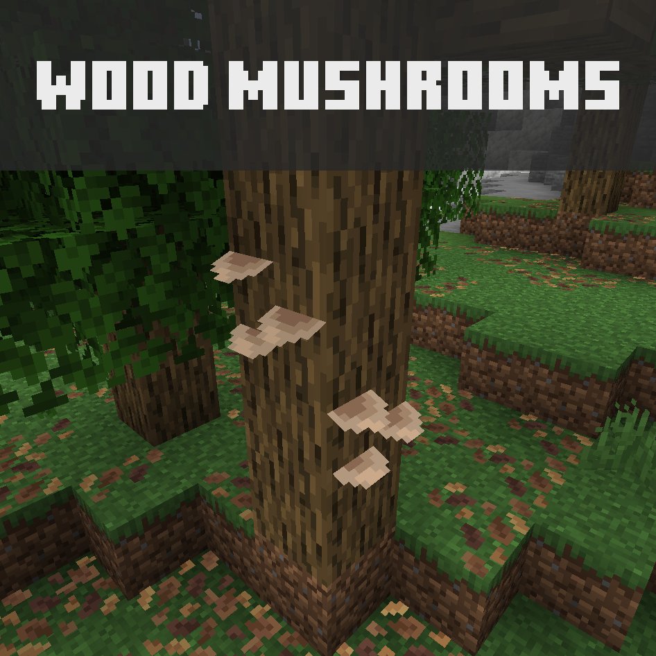 zozozrob tweet media