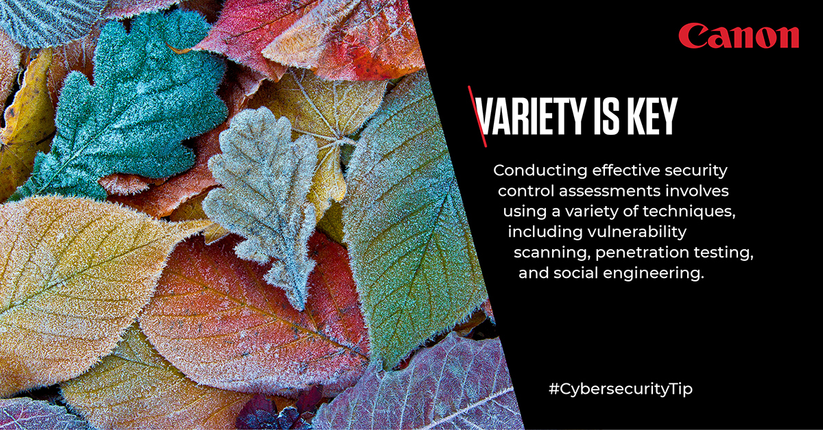 Learn more 👇 👇 canon.sm/3AP7RMf