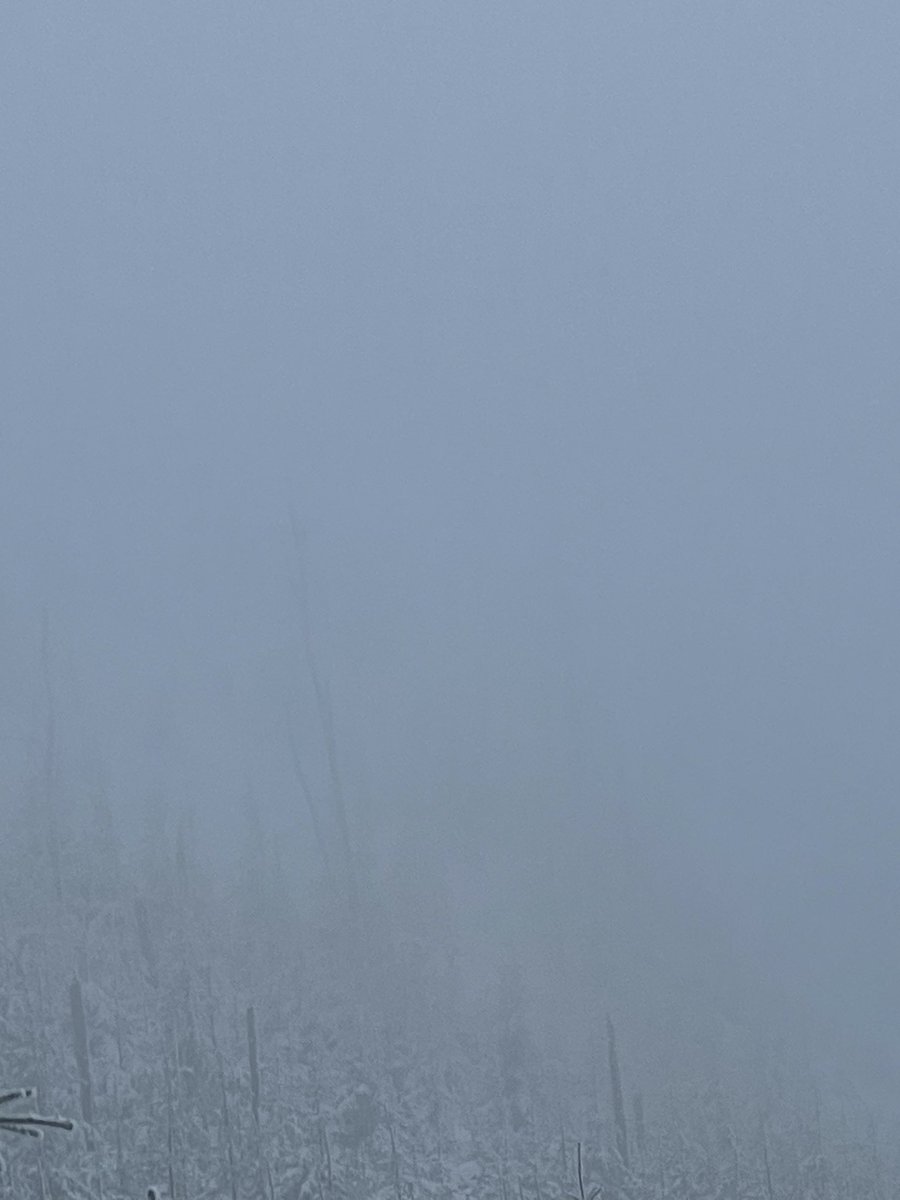 Sławomir Dębski tweet media