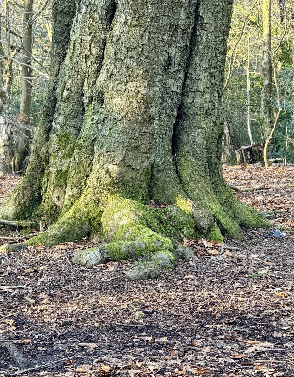 Having a rest