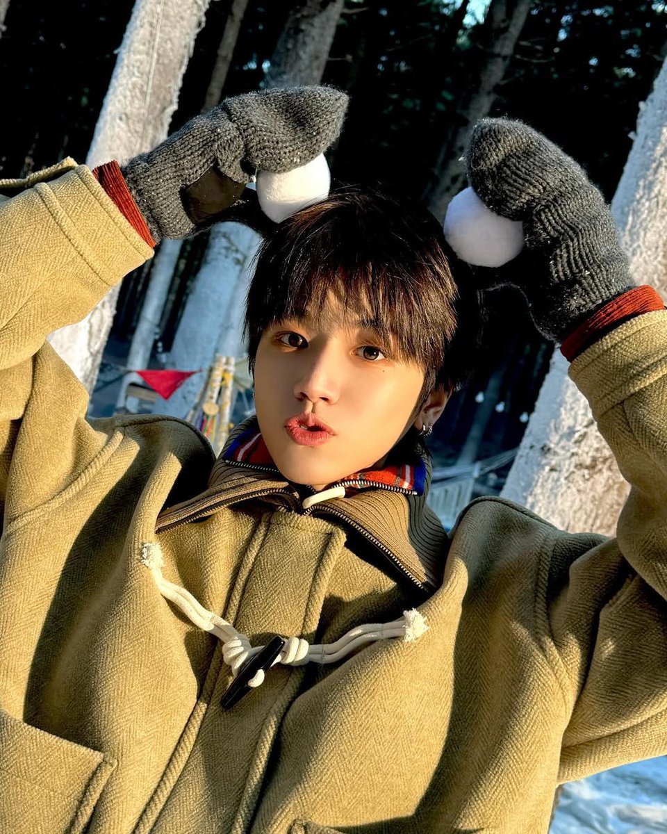 Beware of a ringbear's appearance, boo!