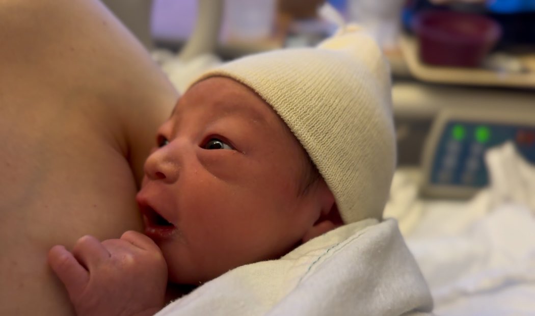 Ordinary Adam tweet media