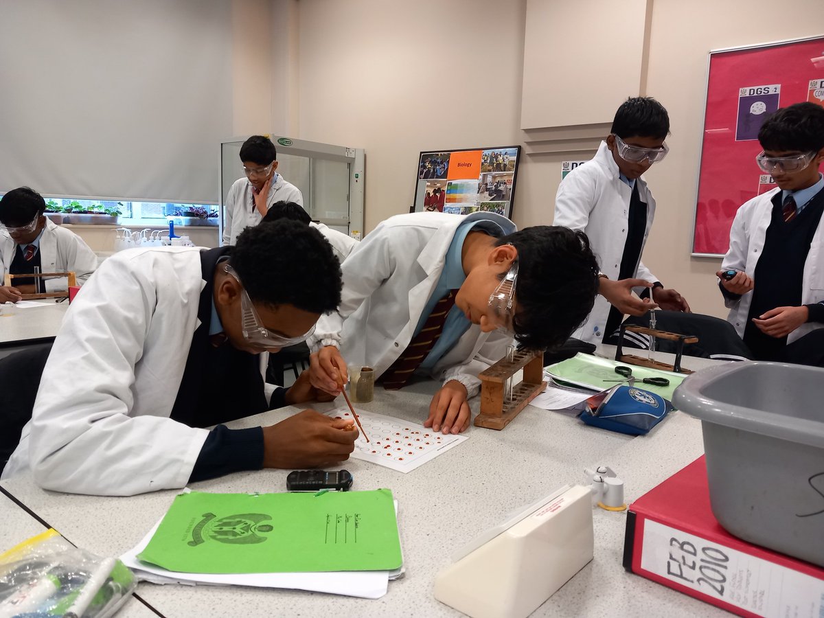 CraibMrs's tweet photo. Students in 9A completed another GCSE Biology 'Required practical' yesterday... investigating the effect of pH on the enzyme, amylase. @DrCourtDGS @DGSSciCollege @DartfordGS https://t.co/oHRzcGHotO
