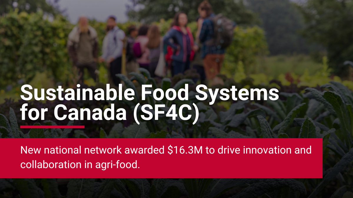Sustainable Food Systems for Canada (SF4C) is a new national platform focused on innovation, productivity, and reducing emissions in agri-food. 
 
Led by #UofG alongside partners, SF4C will drive collaboration for a more sustainable food system. 

Link: uoguel.ph/yr0uz