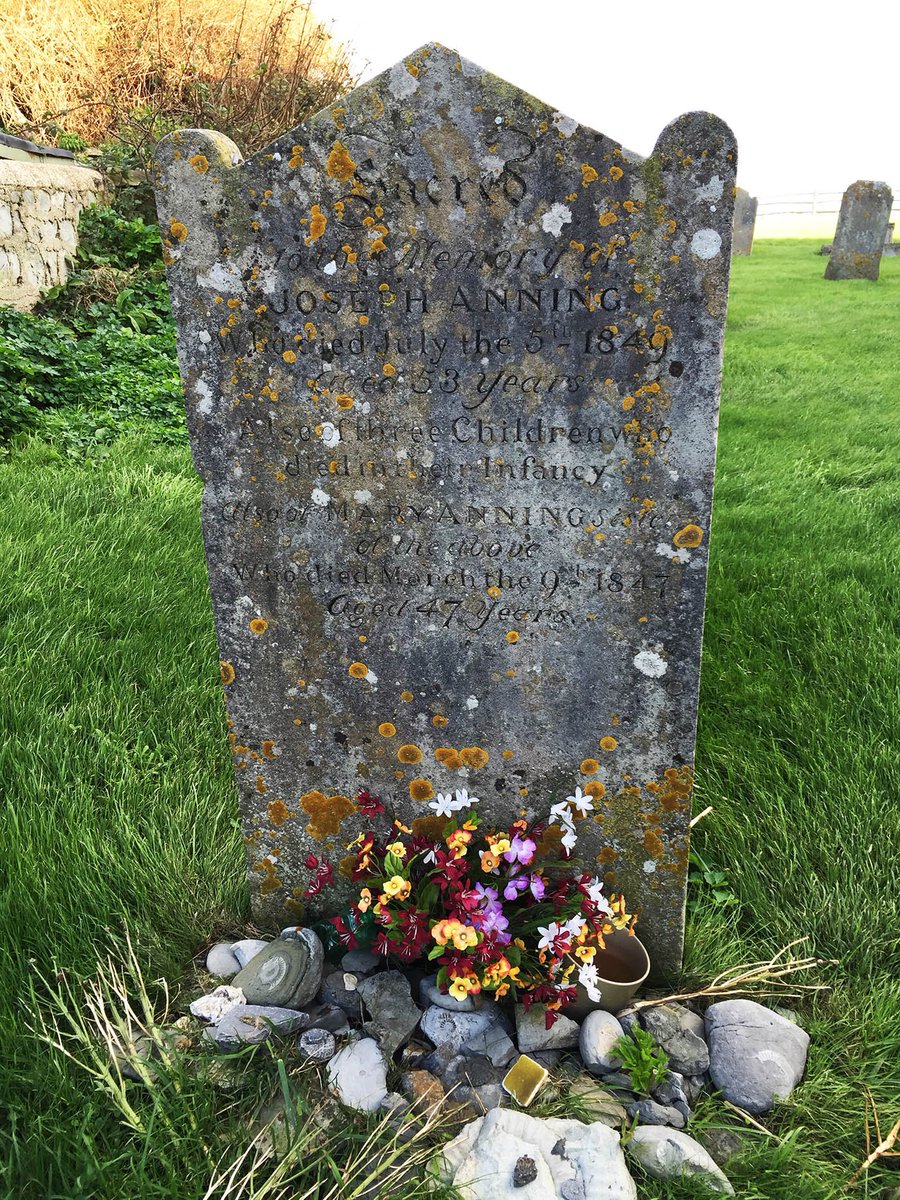 duniyaghar's tweet photo. In the churchyard of St Michael the Archangel Church in Lyme Regis —She is buried beside her brother Joseph, who passed away in 1849. Today, people leave offerings at her grave—not just flowers, but fossils—a tribute to her lasting legacy. 
12/n https://t.co/LB9ueZjnHN