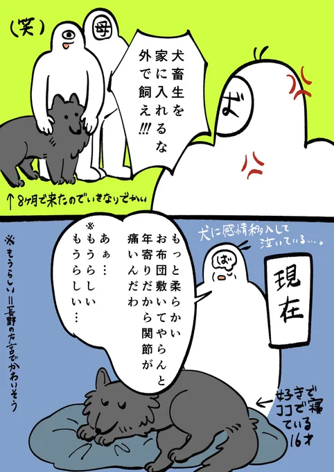 動物嫌いの祖母と犬
16年の月日は人を変える😂 