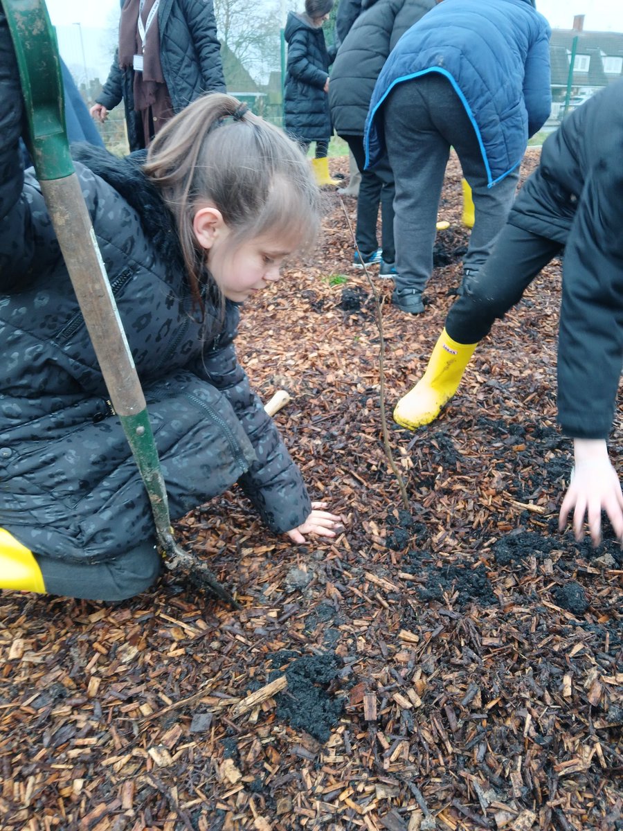 EcoSchoolsLCC's tweet photo. We had a really exciting day planting our 30th #TinyForest in Leicester at @EyresMonsellPri! Thank you for all your hard work planting! @Earthwatch_Eur https://t.co/I6UnNL1pnK