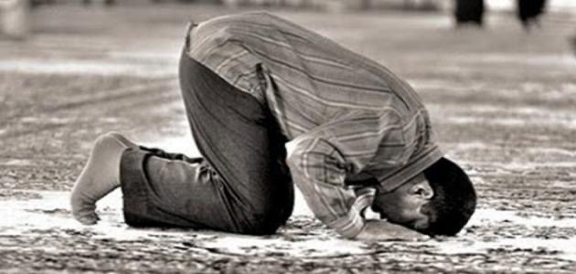 m7mdsaleh01's tweet photo. عند اعلان وقف اطلاق النار لا تنسوا سجود الشكر مثل سجود الصلاة سجدة واحدة، يقول فيها ما يقول في سجود الصلاة: سبحان ربي الأعلى، سبحان ربي الأعلى، يحمد الله، ويثني عليه على النعمة التي حصلت، يدعوه -جل وعلا- ويشكره... https://t.co/XYZp33Hf0j