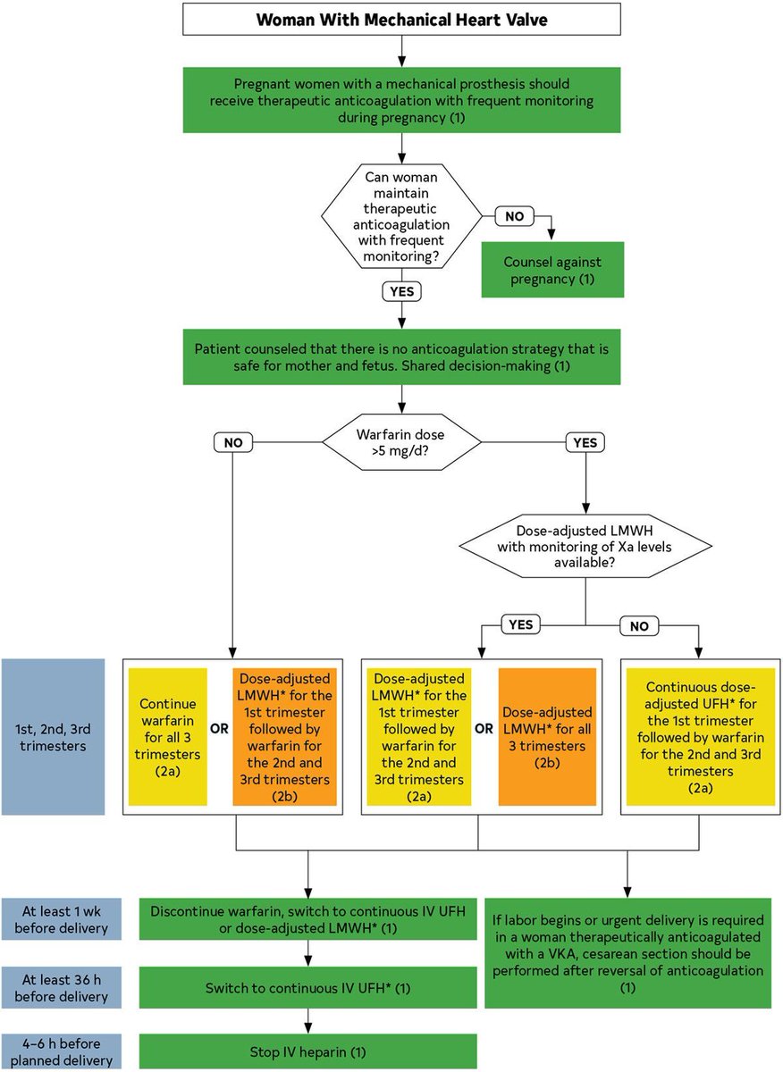 PoojaJagadishMD's tweet photo. Anticoagulation Recs During Pregnancy are found in both the AFib and Valvular Guidelines.  Review table 28 and Figure 18, respectively, for best guidance.
💊The key takeaway is that warfarin can be used during the first trimester if the dose is ≤5 mg per day.
#CVBoardPearl #MedX https://t.co/IYzrVSwodb