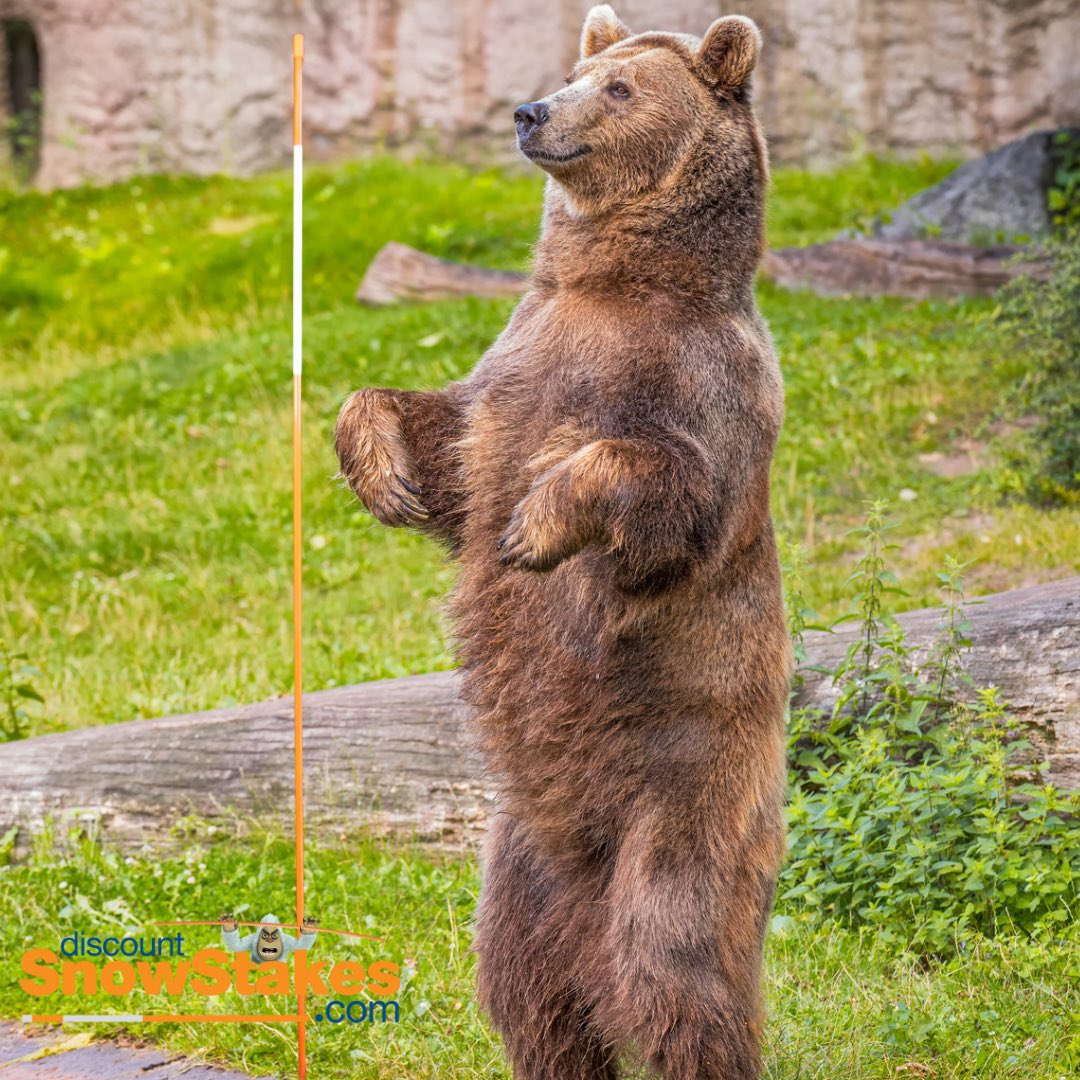 Discount Snow Stakes tweet media