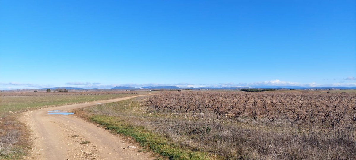 Fundación Oxígeno tweet media