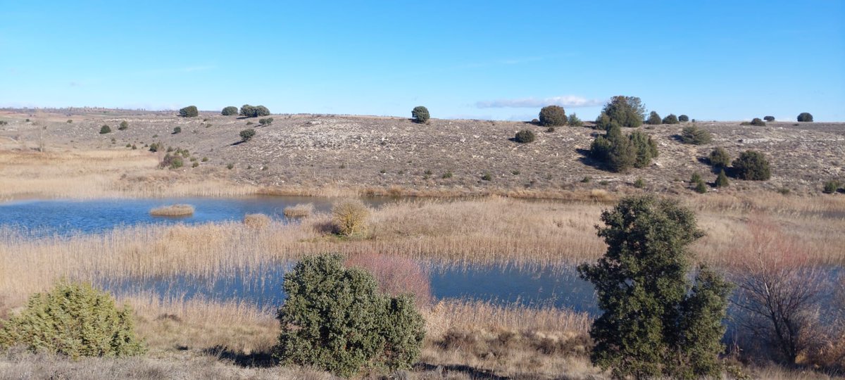 Fundación Oxígeno tweet media