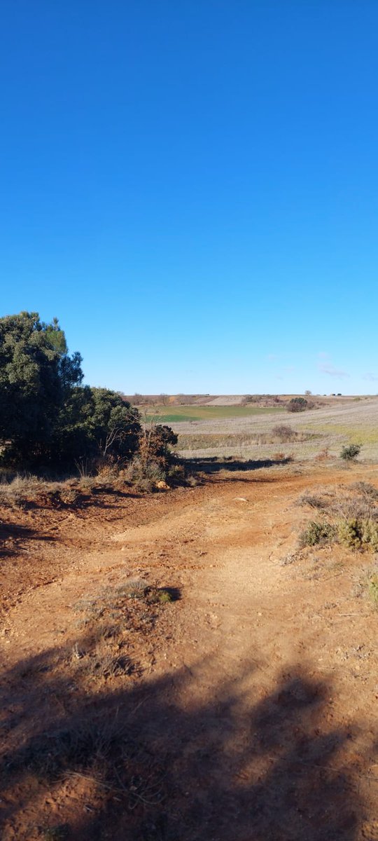 Fundación Oxígeno (@fundaciono2) on Twitter photo #SecanosVivos
Nuevo censo en la finca colaboradora del proyecto en #Tubilladellago en #Burgos comprobando la mejora de la biodiversidad y los resultados de las intervenciones realizadas el año pasado, junto a <a href="/SEO_BirdLife/">SEO/BirdLife</a>
<a href="/FBiodiversidad/">Fundación Biodiversidad</a> #ProyectosPRTR #PlanDeRecuperación #SecanosVivos
Nuevo censo en la finca colaboradora del proyecto en #Tubilladellago en #Burgos comprobando la mejora de la biodiversidad y los resultados de las intervenciones realizadas el año pasado, junto a <a href="/SEO_BirdLife/">SEO/BirdLife</a>
<a href="/FBiodiversidad/">Fundación Biodiversidad</a> #ProyectosPRTR #PlanDeRecuperación